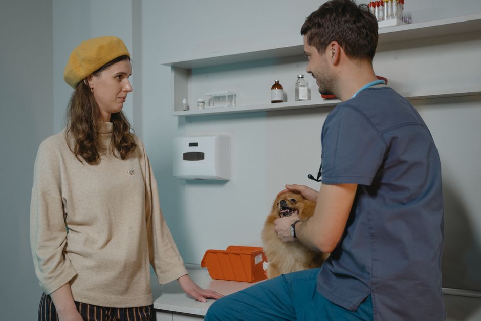 PetCare Plus – Plataforma integral para clínicas veterinarias y dueños de mascotas